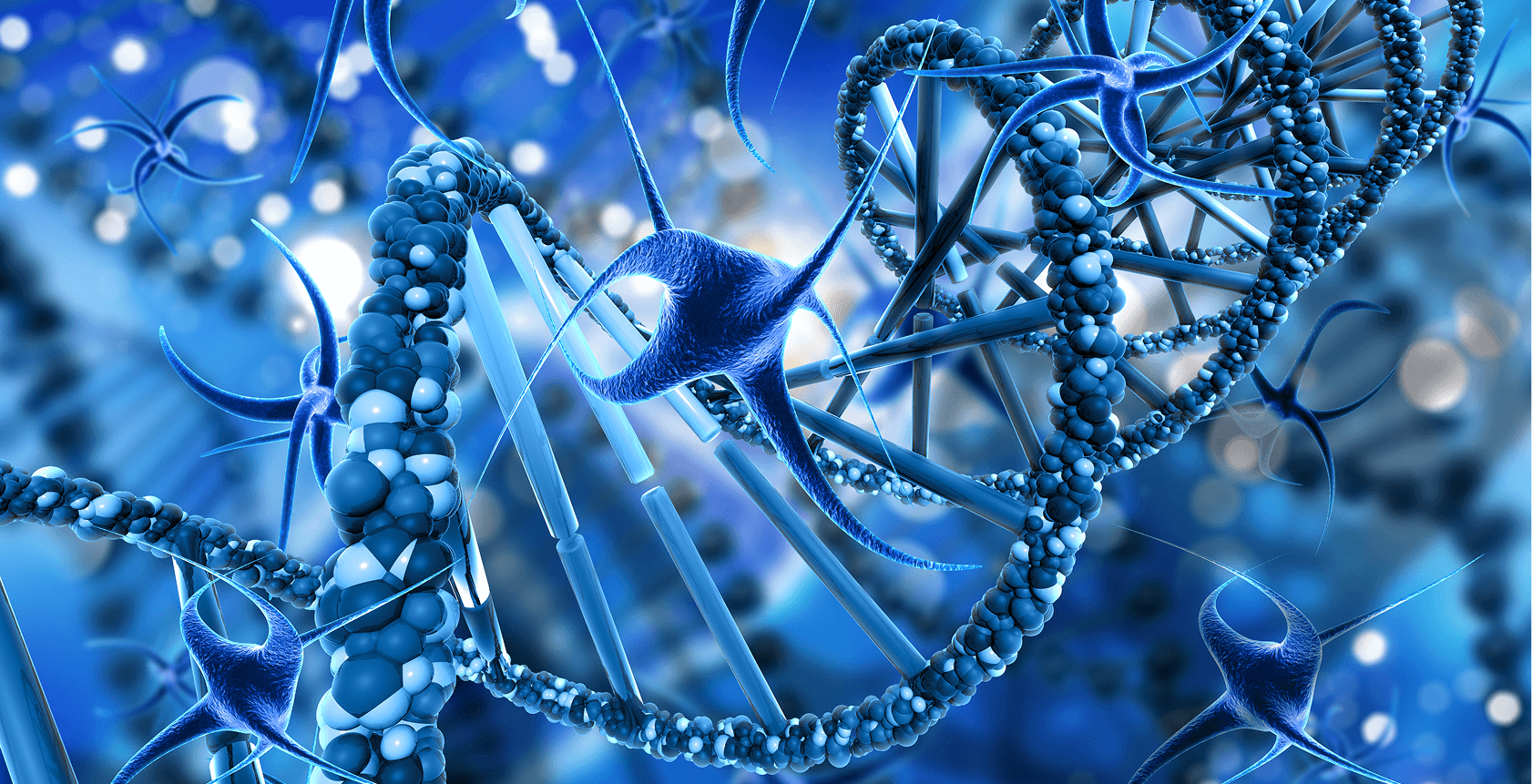 Drug Discovery