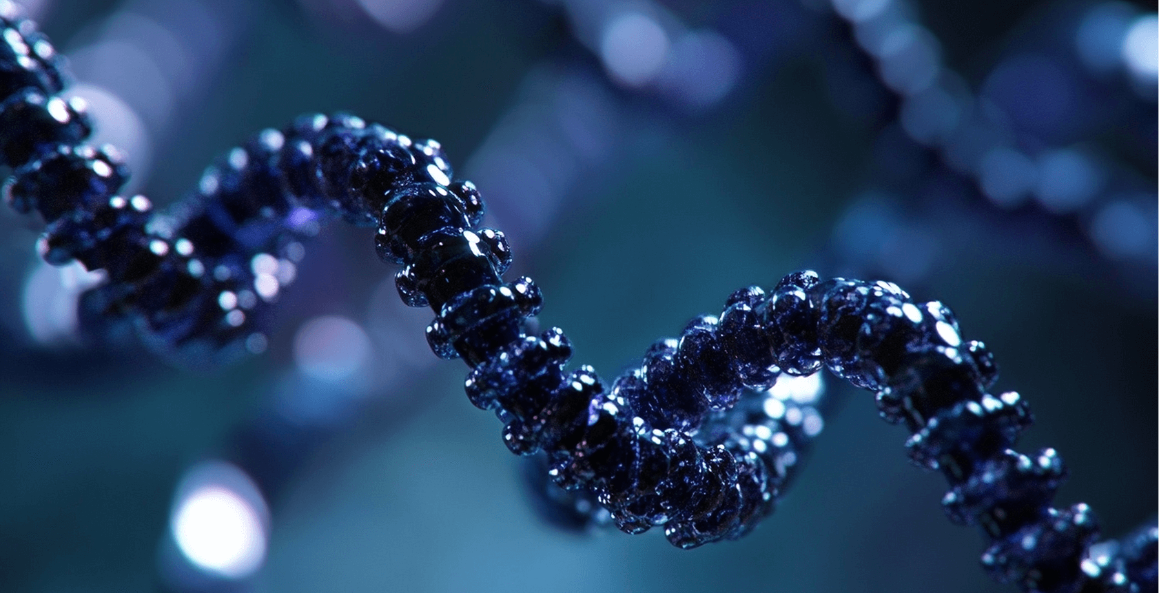 Quantum Protein Folding