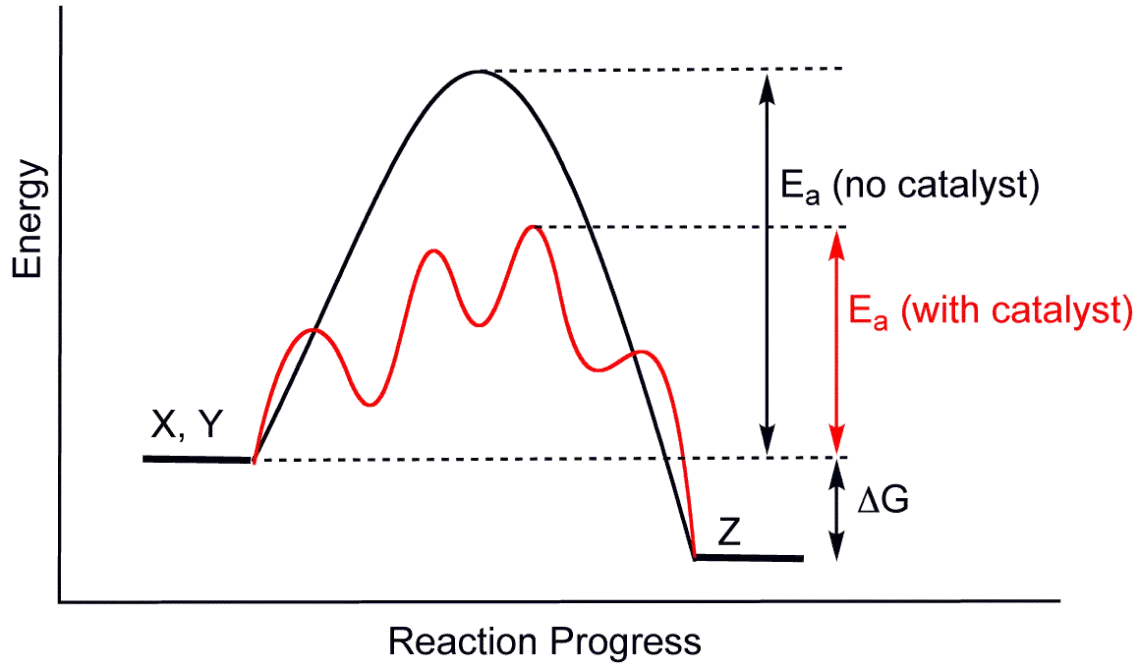 catalyst energy diagram